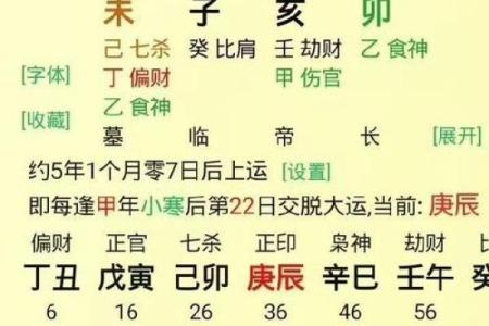 生辰八字丙辛合化水