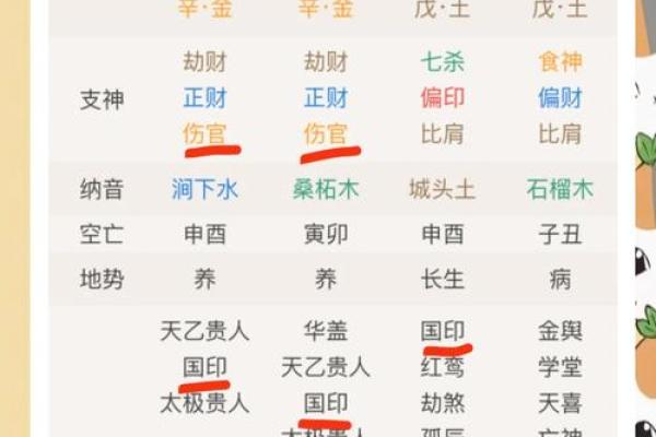 生辰八字推算软件