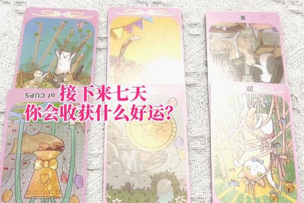 塔罗测试：今年你会走什么好运？