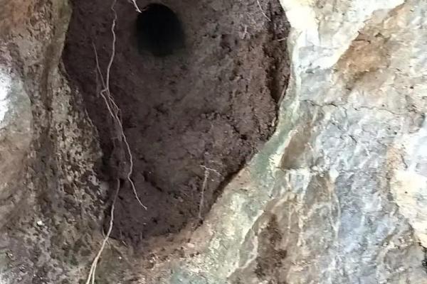 祖坟风水出现蛇鼠洞如何处理？