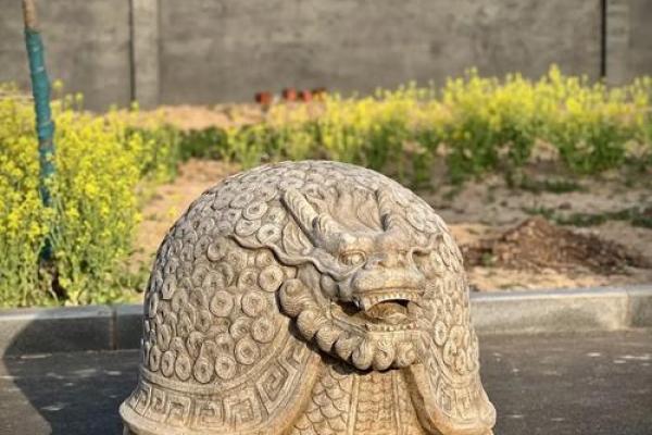 风水龙龟摆件摆在家的什么位置好