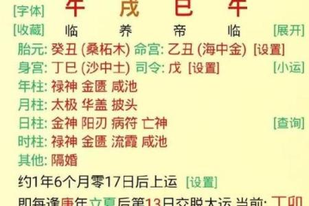 八字全阳的男命 办亊效率高