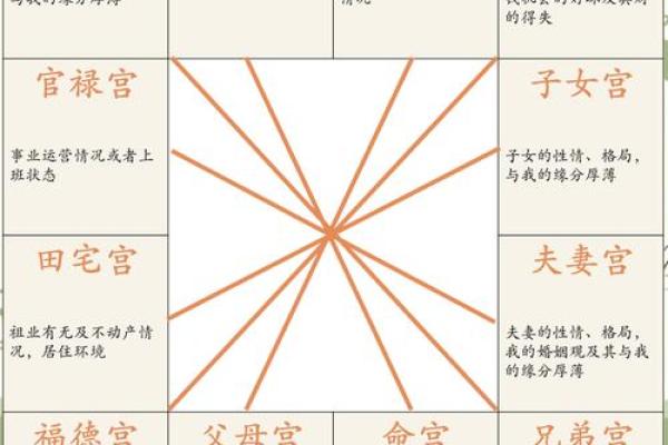 蓝天辰紫薇斗数案例