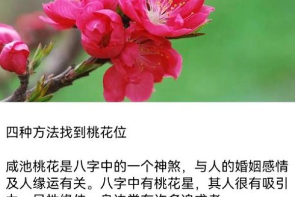 生辰八字算命：论桃花运