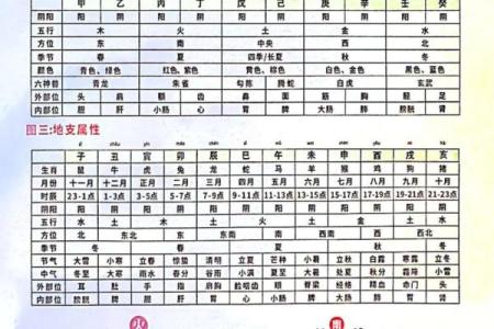 免费五行八卦算命,八字五行免费算命