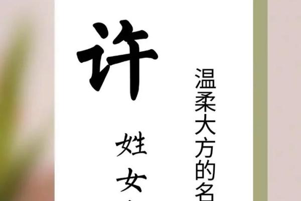 许姓女孩名字大全-许姓女孩起名字大全-许姓名字大全姓名