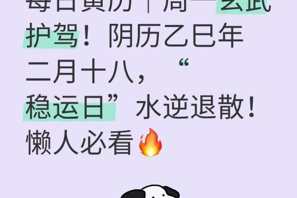 【运势测试】水逆来临！提前做这些准备，你才会好运护体！