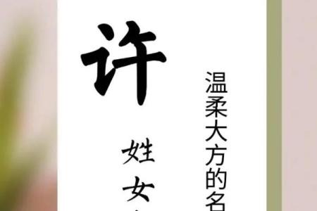 许姓女孩名字大全-许姓女孩起名字大全-许姓名字大全姓名