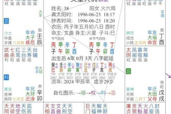 紫薇斗数丙干宫