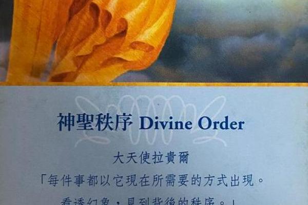 神叨酱：5.4日心灵运势测试