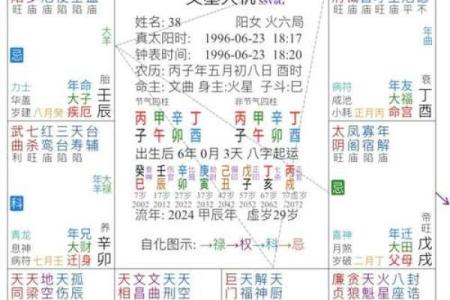 紫薇斗数丙干宫