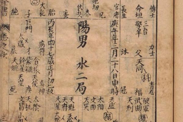 紫薇斗数学法律