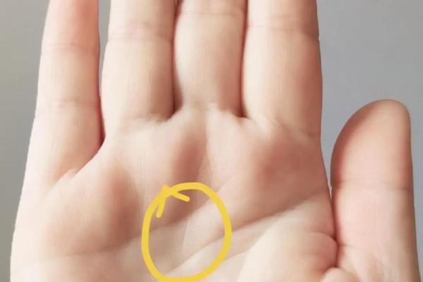 手相风水双手川字掌的女人命运如何