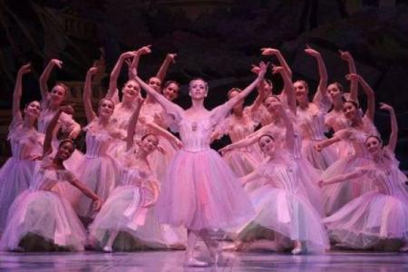 十二星座适合什么芭蕾舞裙子