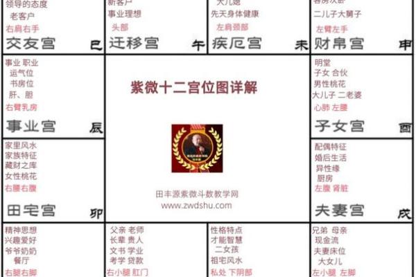 紫微斗数之兄弟宫在寅宫，是什么意思？