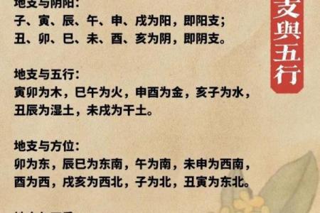 周易起名和八字起名的区别