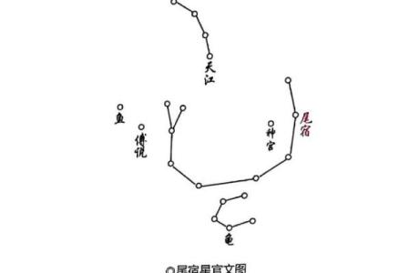 九大星宿都有哪些星座