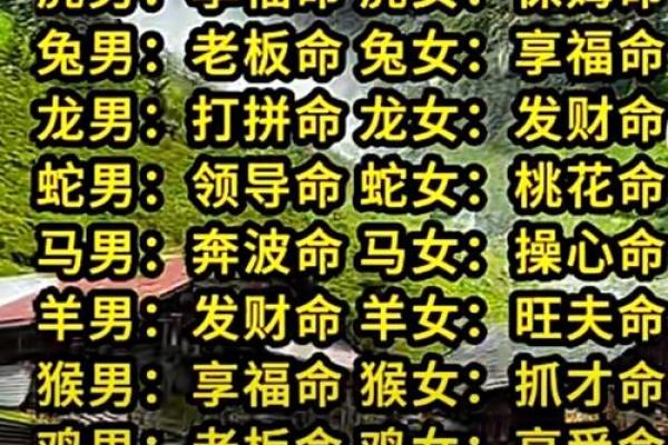 八字离命代表什么