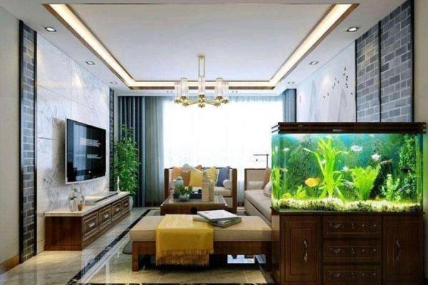 摆鱼缸的风水禁忌 摆鱼缸的风水禁忌