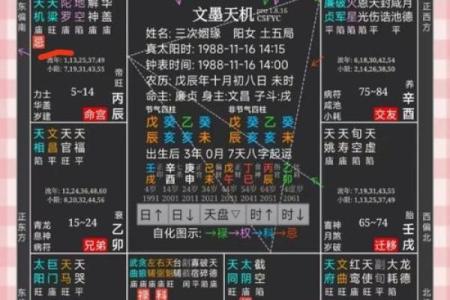紫微斗数之各星曜所主行业：单位或公司的状况