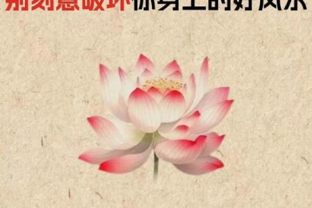 漏财的风水习惯你知道吗