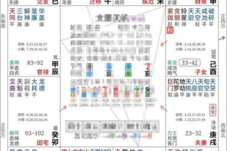 紫微斗数案例42健康：能活到90多岁的命盘