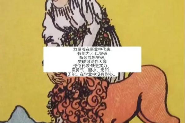 塔罗测试：九月事业运？