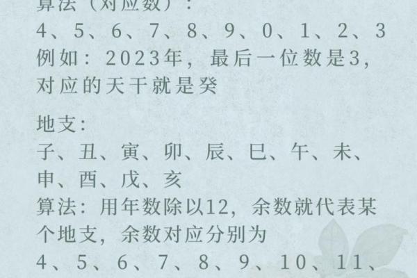 算名字,生辰八字取名字查询