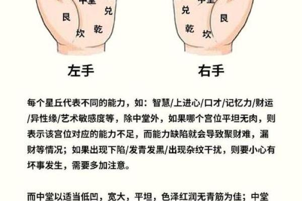 一掌经算命实例 一掌经算命实例