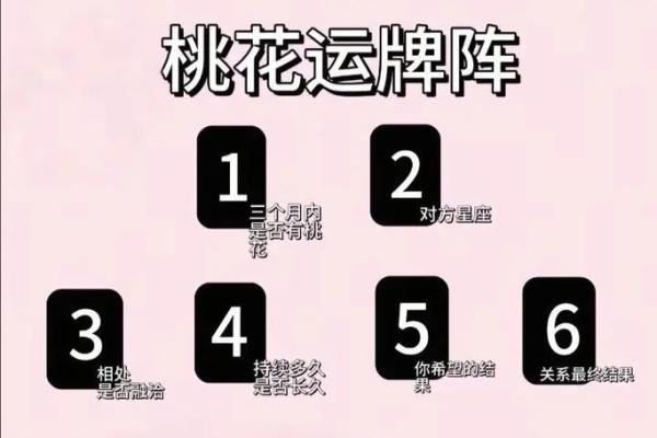 塔罗测试：三月学习运？