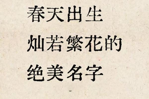 2019年4月5号辰时出生的男孩起名方法姓名