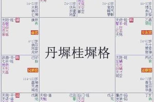 紫薇斗数丈夫富贵