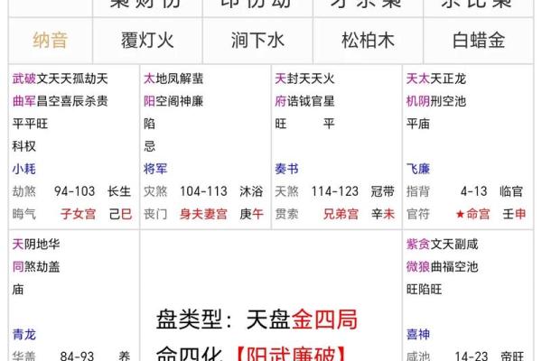 紫薇斗数星盘下载 紫薇斗数星盘下载