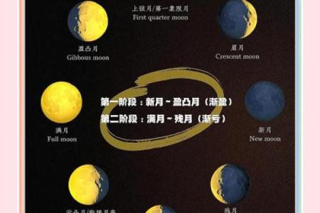 月亮星座是按农历算的吗