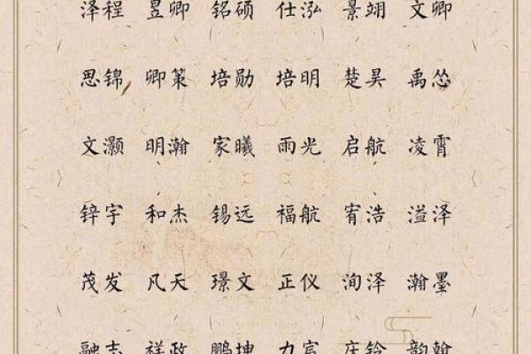 晚上九点出生的属羊男孩起什么名，用什么字姓名