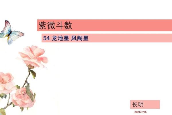 紫薇斗数龙池入命