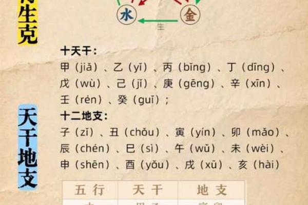 四柱八字疾病全解