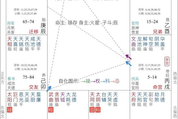 紫薇仙子紫薇斗数