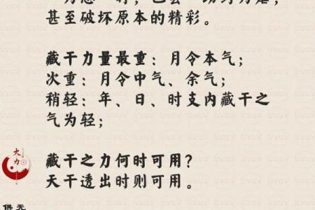 四柱八字基础知识，地支藏干的基本原理
