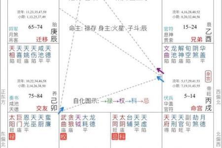 紫薇仙子紫薇斗数