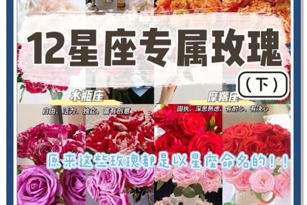 十二星座代表花都有哪些呢