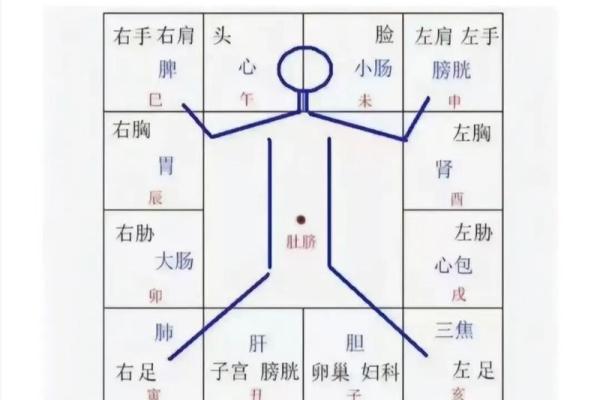 紫微斗数之子女宫与诸星，太阳星在子女宫是什么意思？