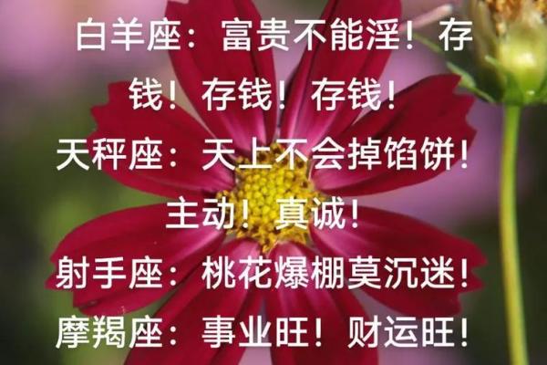 12星座9月的一句忠告拿好