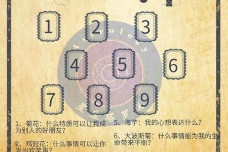 塔罗测试：十一月桃花运？