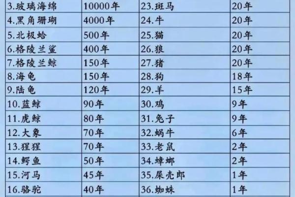 风水12生肖寿命最长的是什么动物是它吗
