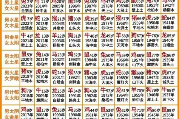 2024年10月28日农历九月二十三出生的人八字是什么