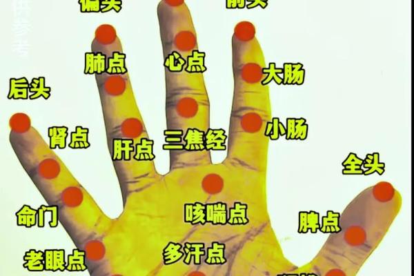 八字算命术和手相面相哪个更准确