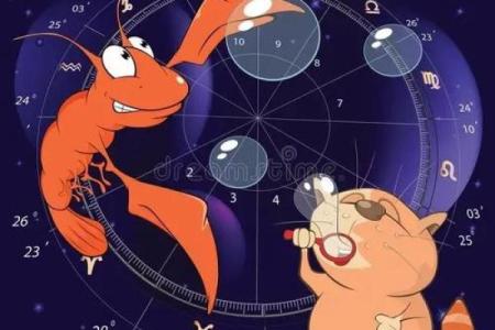 哪个星座最有创业执着？