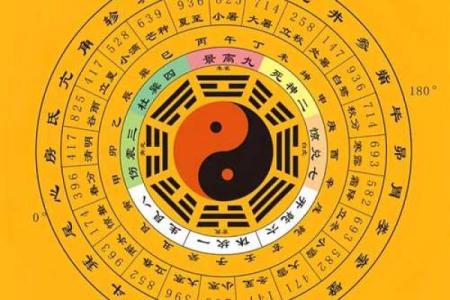 2024年10月28日农历九月二十三出生的人八字是什么