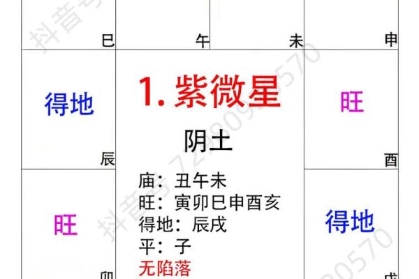 紫薇斗数主星长相